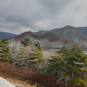 image-2
